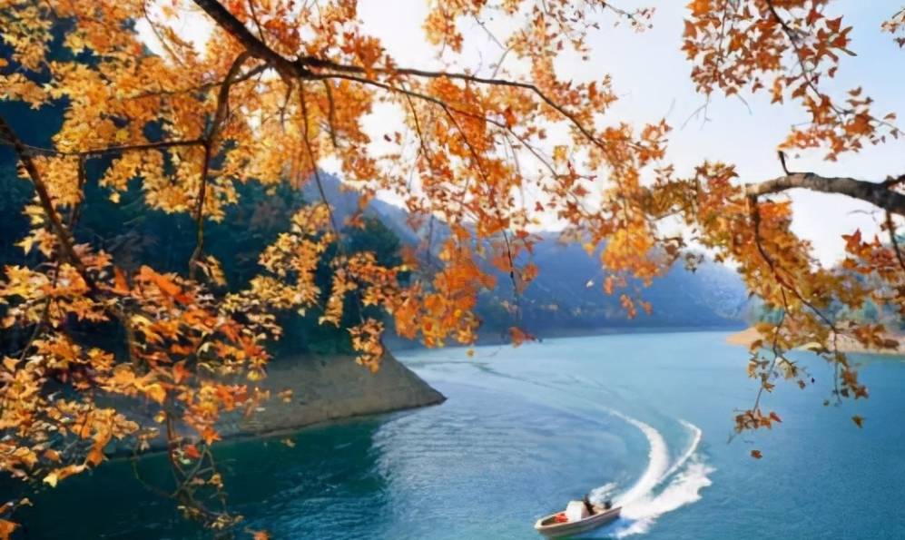 原创 广州一处天然佳境,堪称“资源宝库”,耗资9千万打造门票免费4