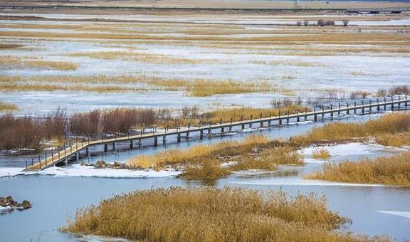 内蒙古满洲里有一座湿地公园,是额尔古纳河的源头,冬季晶莹剔透3