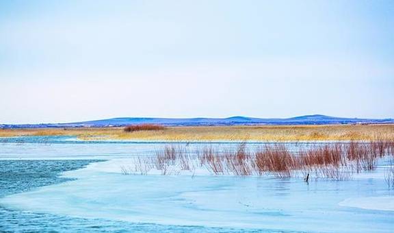 内蒙古满洲里有一座湿地公园,是额尔古纳河的源头,冬季晶莹剔透8