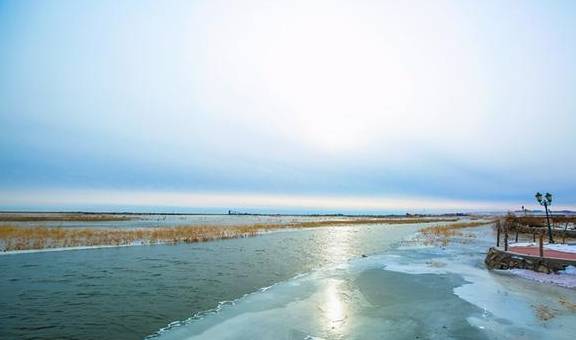 内蒙古满洲里有一座湿地公园,是额尔古纳河的源头,冬季晶莹剔透10