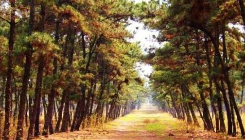 原创 河南这三座古县城，最少都有1000多年历史，名字却常被游客读错3