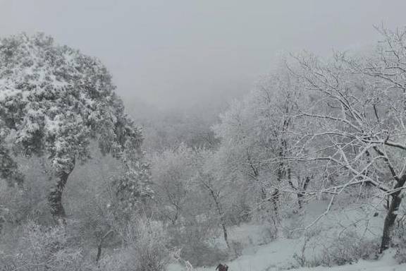 原创 来终南山南五台赏雪、悟雪6