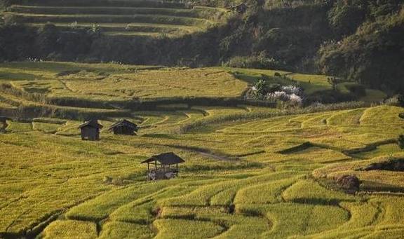 原创 腾冲的秋天那么美,我想带你去看看2