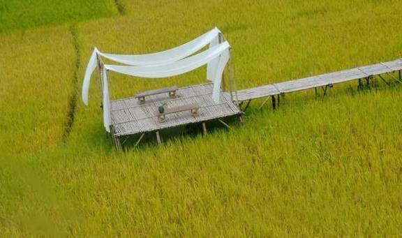 原创 腾冲的秋天那么美,我想带你去看看11