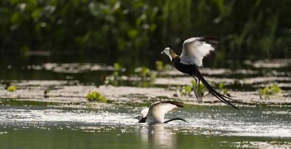 原创 腾冲的秋天那么美,我想带你去看看20
