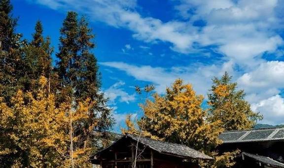 原创 腾冲的秋天那么美,我想带你去看看21