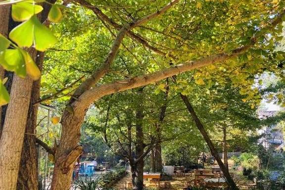 原创 腾冲的秋天那么美,我想带你去看看23