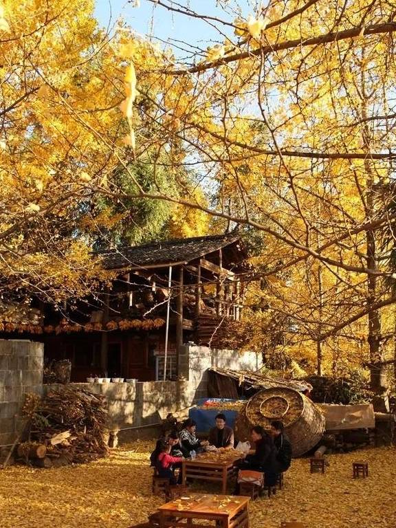 原创 腾冲的秋天那么美,我想带你去看看24