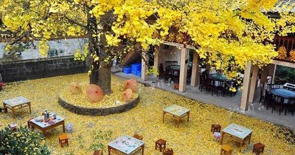 原创 腾冲的秋天那么美,我想带你去看看26