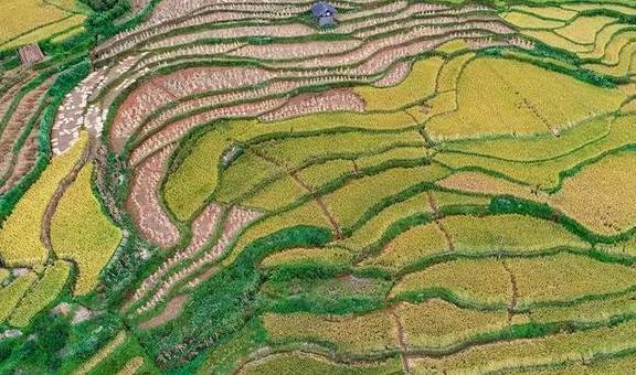 原创 腾冲的秋天那么美,我想带你去看看30