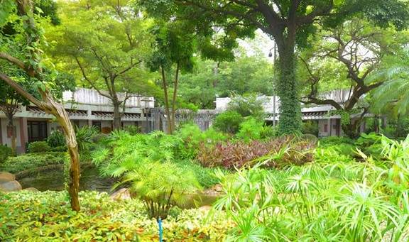 原创 广州文化公园,叶帅题名郭老题诗,更有赏菊看花灯9