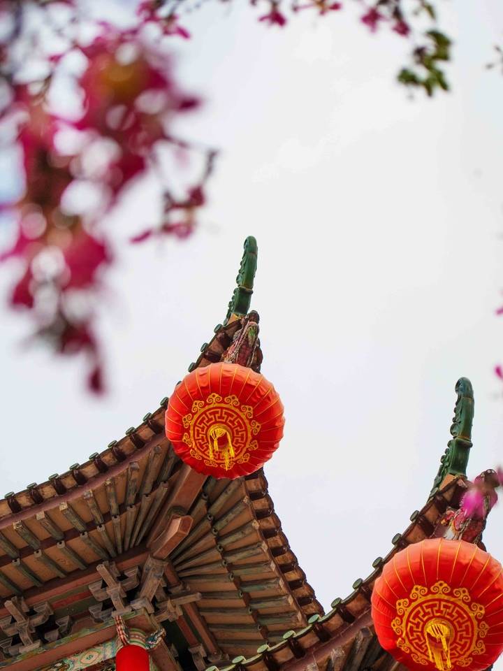 原创 约上汉服小姐姐携清风同游，周末去东莞观音山看“花雪”吧7