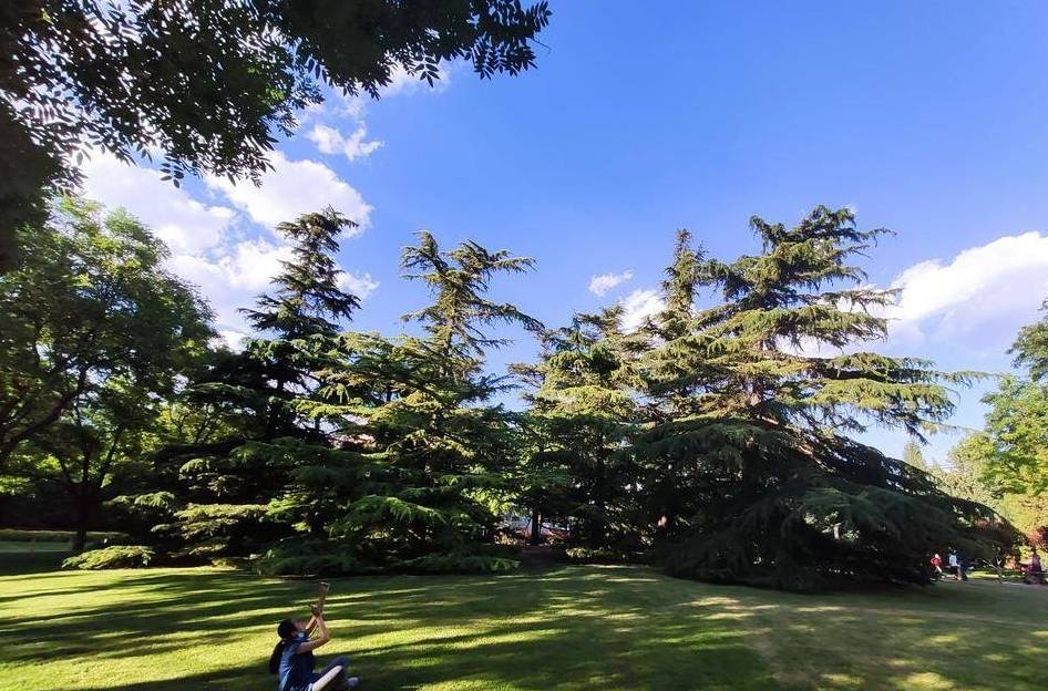 原创 德胜门外一线的两座现代公园,一座欧式一座日式3