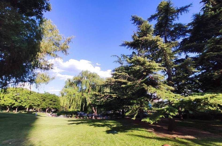 原创 德胜门外一线的两座现代公园,一座欧式一座日式5