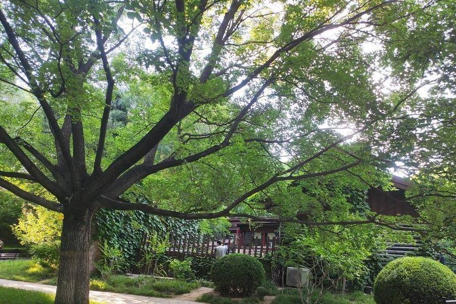 原创 德胜门外一线的两座现代公园,一座欧式一座日式7