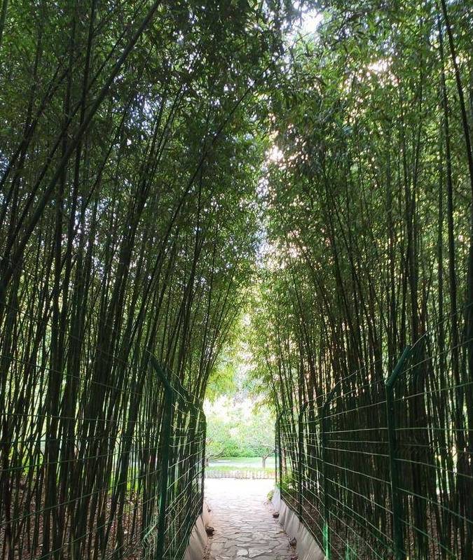 原创 德胜门外一线的两座现代公园,一座欧式一座日式8