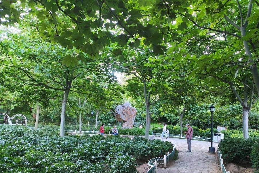 原创 德胜门外一线的两座现代公园,一座欧式一座日式11