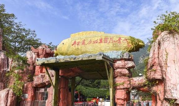 原创 牛!修建了广东第一座玻璃桥的景区,还炒火了广州人最爱的禾雀花2