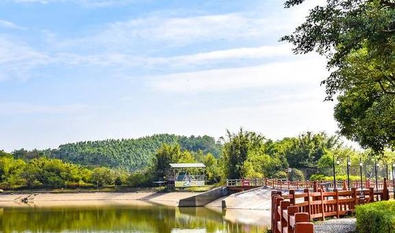 原创 牛!修建了广东第一座玻璃桥的景区,还炒火了广州人最爱的禾雀花3