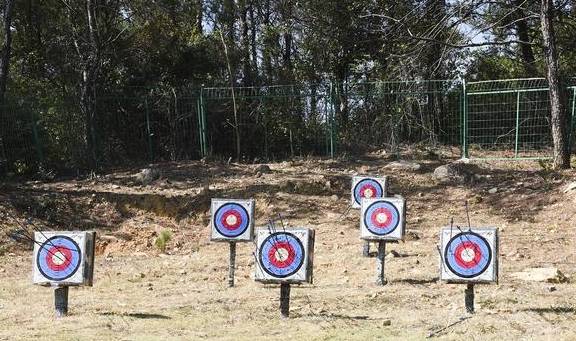 原创 牛!修建了广东第一座玻璃桥的景区,还炒火了广州人最爱的禾雀花11