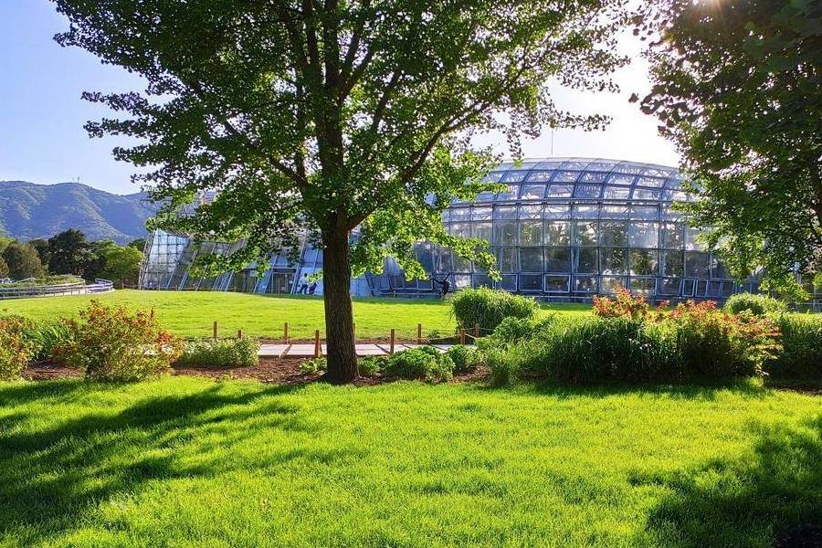 原创 庚子年第一次进西山,北京植物园重走樱桃沟1