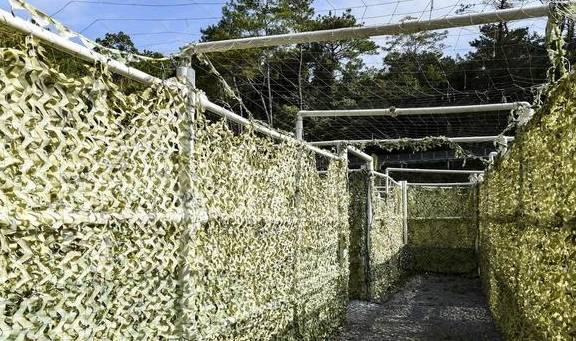 原创 牛!修建了广东第一座玻璃桥的景区,还炒火了广州人最爱的禾雀花14