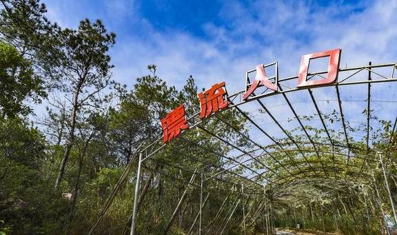 原创 牛!修建了广东第一座玻璃桥的景区,还炒火了广州人最爱的禾雀花15