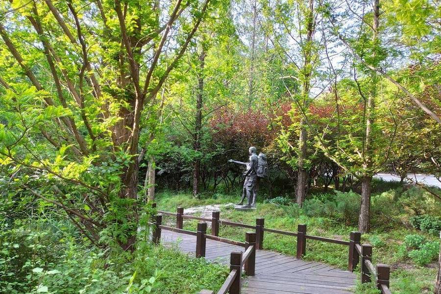 原创 庚子年第一次进西山,北京植物园重走樱桃沟5