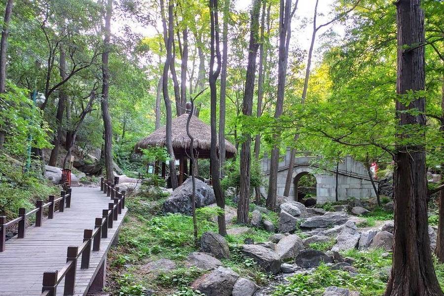 原创 庚子年第一次进西山,北京植物园重走樱桃沟11
