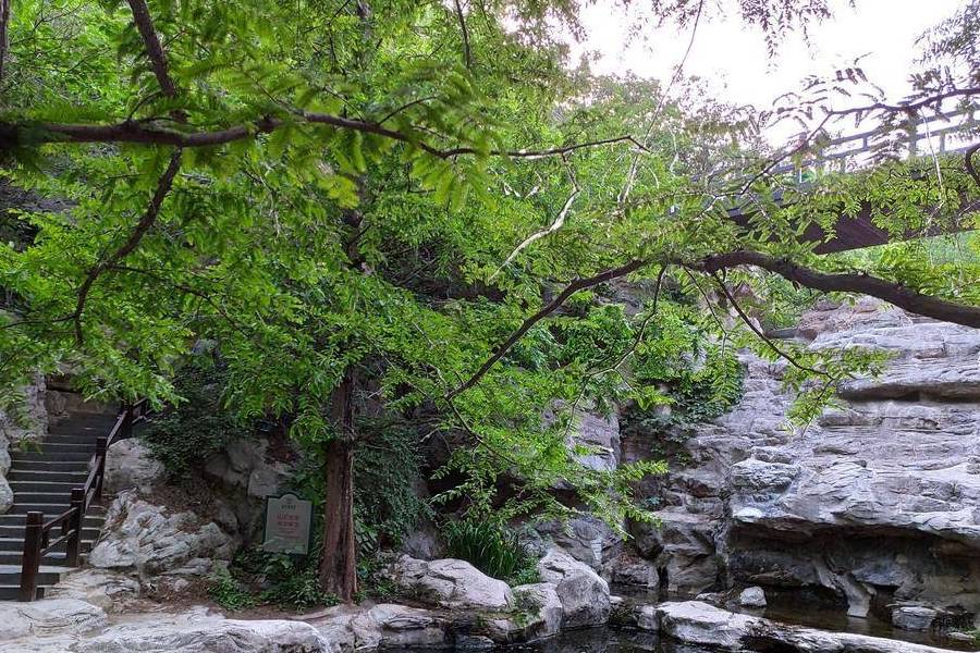原创 庚子年第一次进西山,北京植物园重走樱桃沟8
