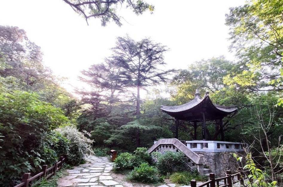 原创 庚子年第一次进西山,北京植物园重走樱桃沟12