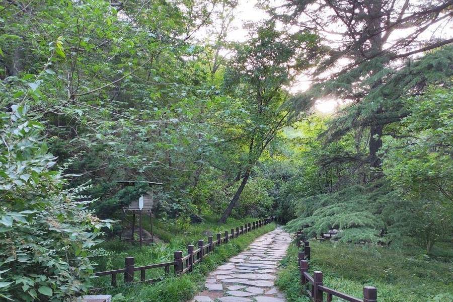 原创 庚子年第一次进西山,北京植物园重走樱桃沟13