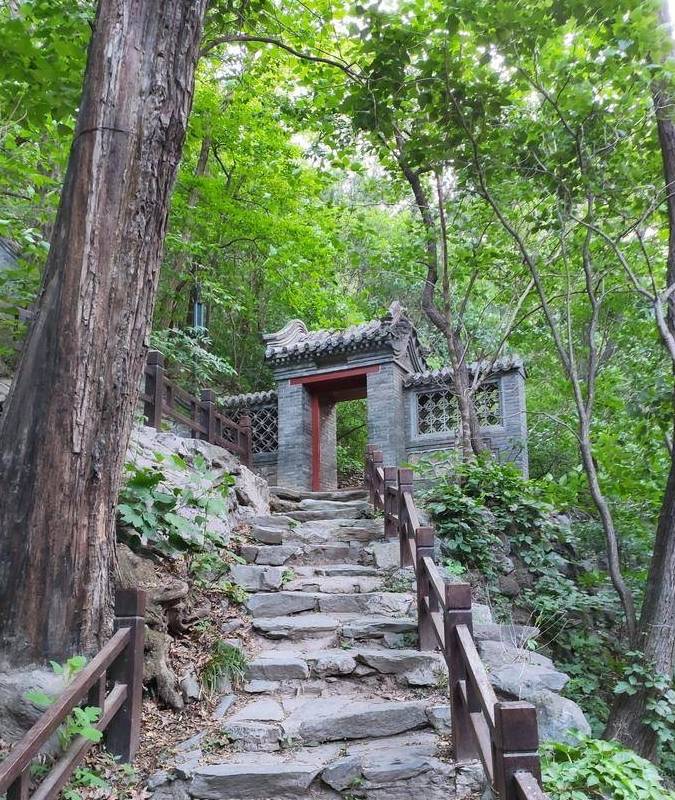 原创 庚子年第一次进西山,北京植物园重走樱桃沟14