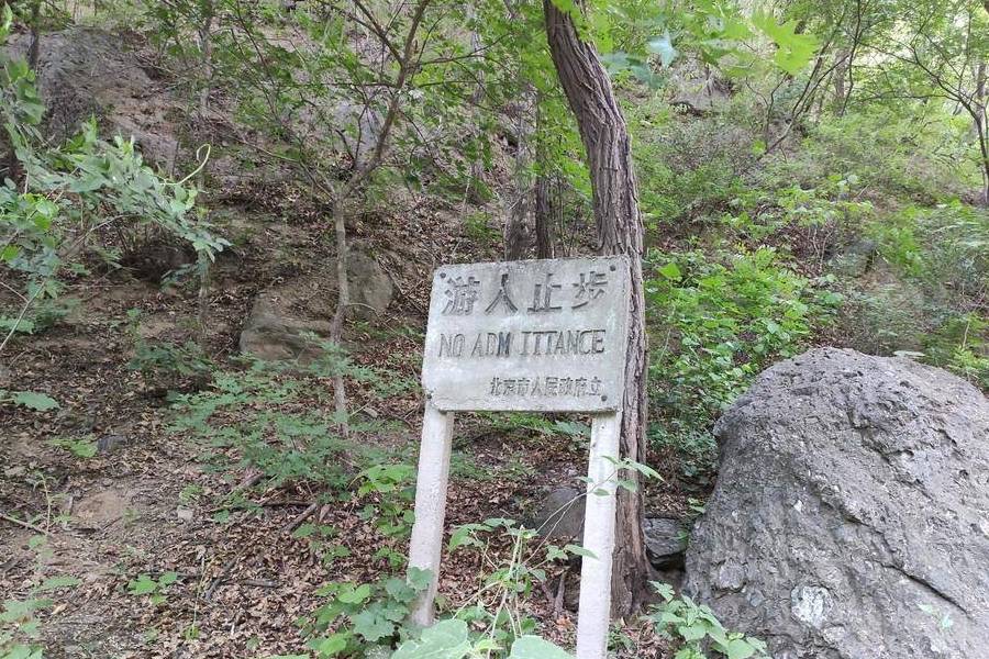 原创 庚子年第一次进西山,北京植物园重走樱桃沟15