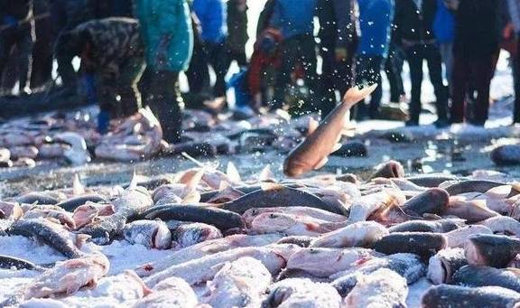 原创 带你玩转冰雪王国!体验冰灯雪雕冬捕节23