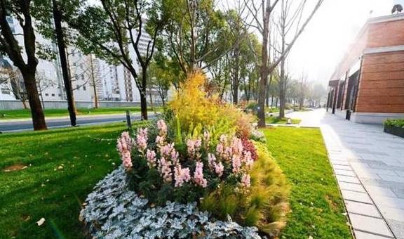 原创 “苏河十景”逐渐露真容,苏州河静安段美到让人挪不动脚步|新年看苏河②6