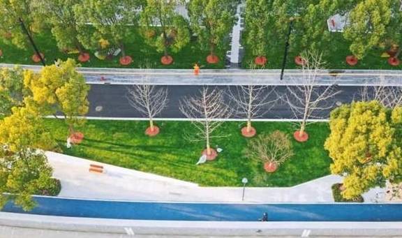 原创 “苏河十景”逐渐露真容,苏州河静安段美到让人挪不动脚步|新年看苏河②7