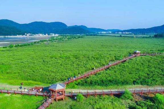 原创 广东省摄协考察复审首批“广东摄影目的地”之一海陵岛4