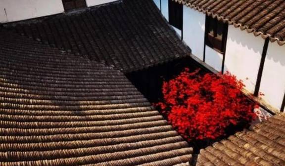 原创 到新场第一楼“演”一幕民国剧,沉浸式“人间剧场”服务员都是戏精5