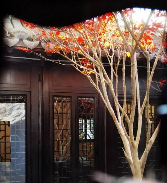 原创 到新场第一楼“演”一幕民国剧,沉浸式“人间剧场”服务员都是戏精7