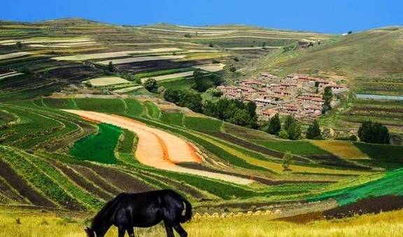 原创 「少波作品」坝上草原,我遇见的和错过的——乌兰察布草原游记2