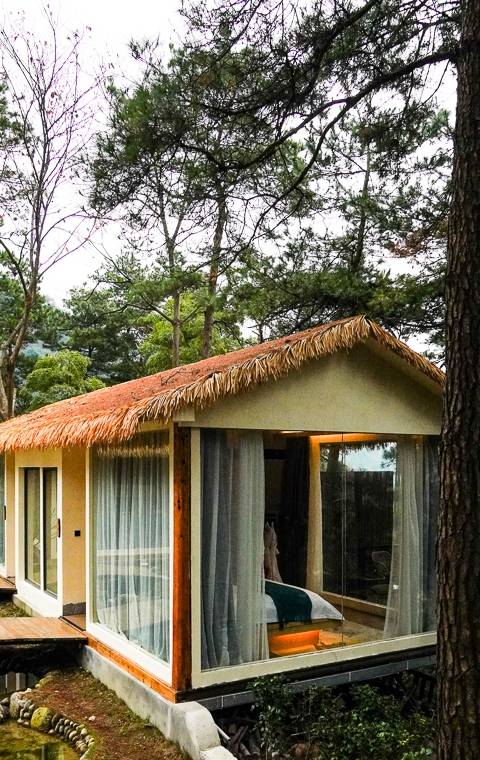 原创 衡山脚下的民宿,坐落于丛林里的徽派建筑3