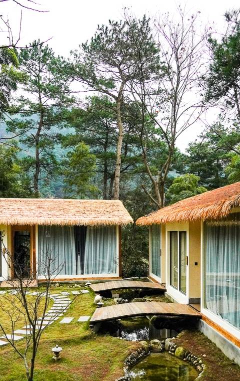 原创 衡山脚下的民宿,坐落于丛林里的徽派建筑4