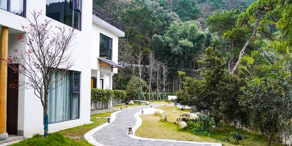 原创 衡山脚下的民宿,坐落于丛林里的徽派建筑6