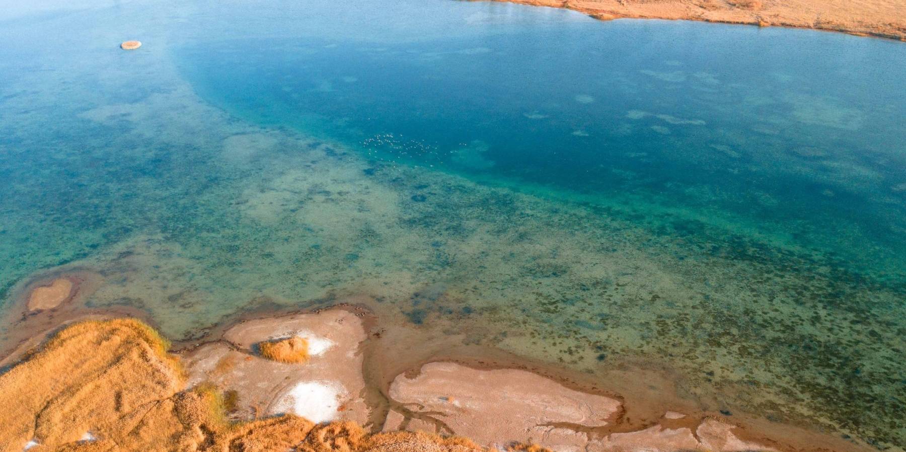 原创 甘肃也有水天一色的湿地公园,有优越原生态环境,是动植物的天堂4