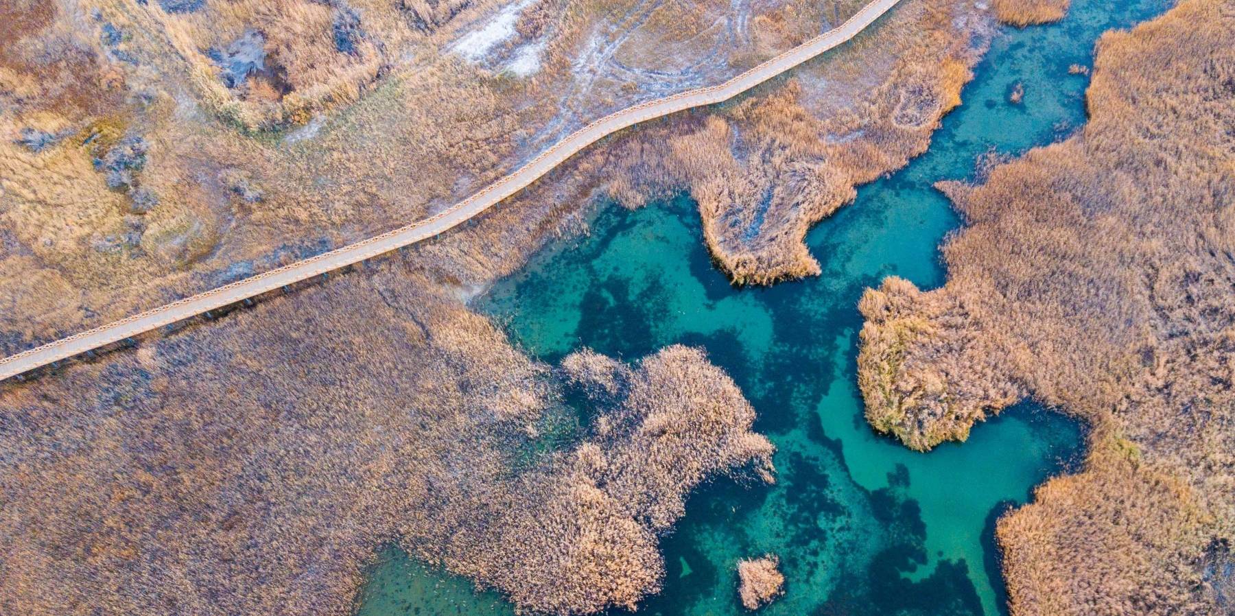 原创 甘肃也有水天一色的湿地公园,有优越原生态环境,是动植物的天堂5