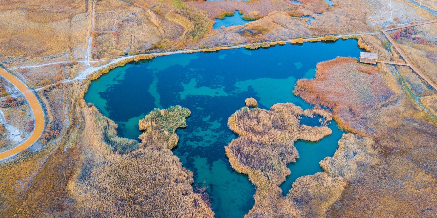 原创 甘肃也有水天一色的湿地公园,有优越原生态环境,是动植物的天堂6