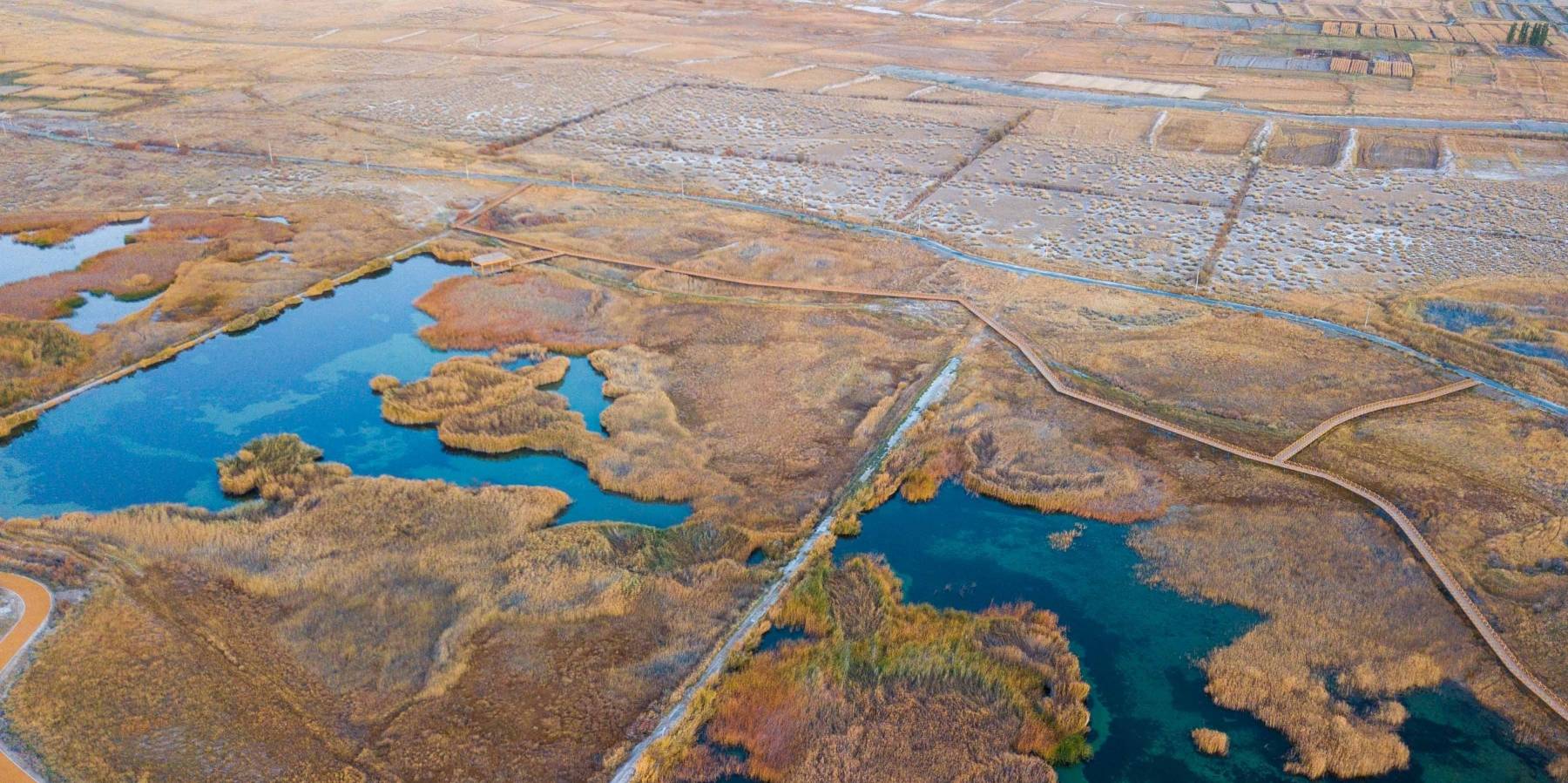原创 甘肃也有水天一色的湿地公园,有优越原生态环境,是动植物的天堂7