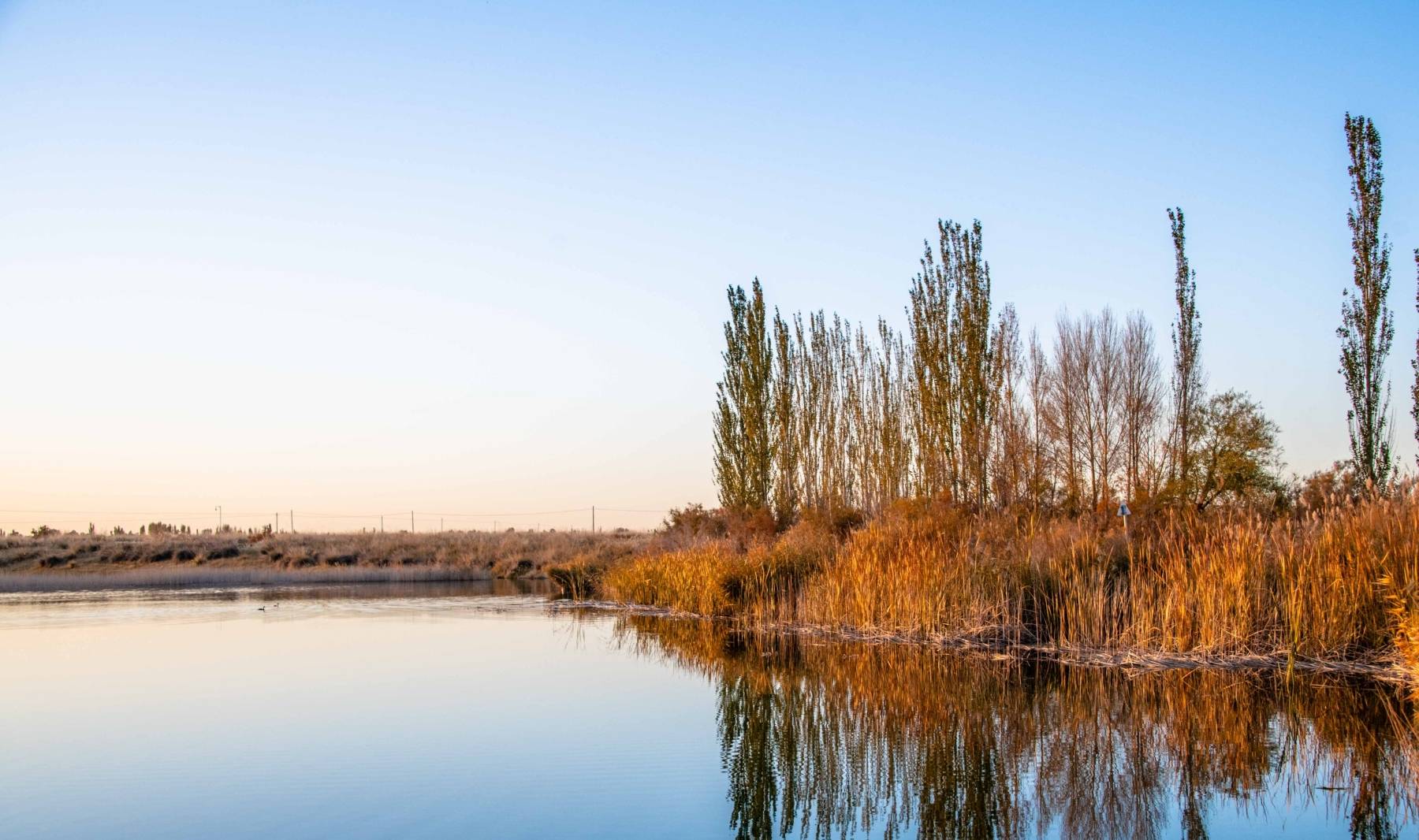 原创 甘肃也有水天一色的湿地公园,有优越原生态环境,是动植物的天堂8