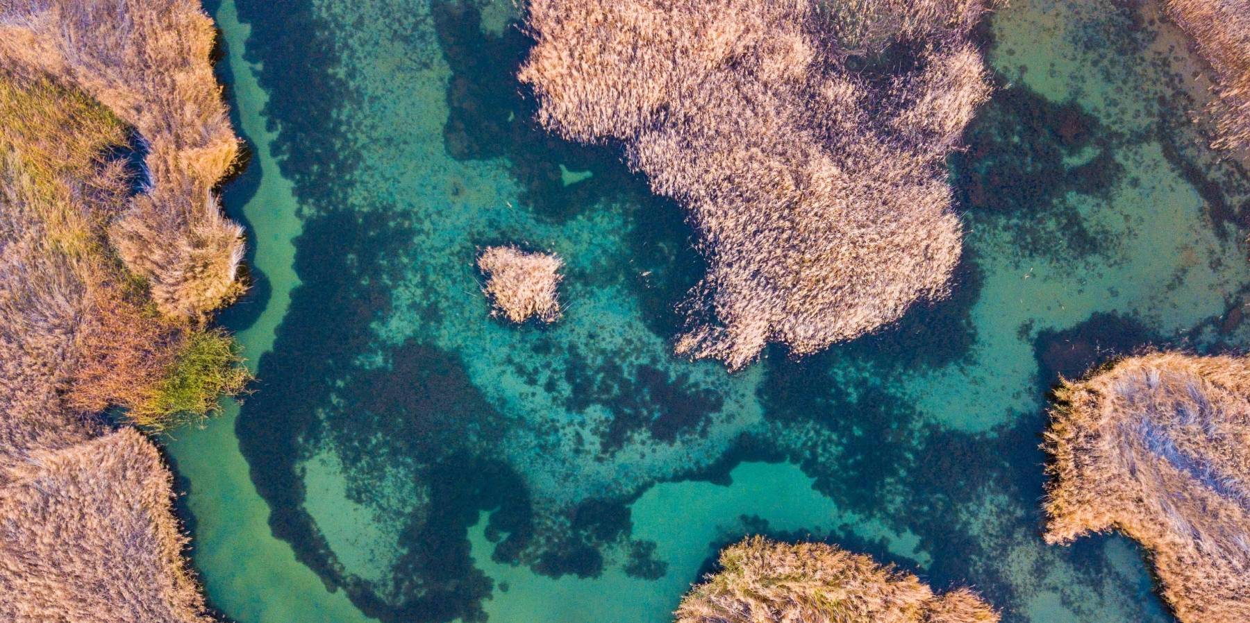 原创 甘肃也有水天一色的湿地公园,有优越原生态环境,是动植物的天堂9
